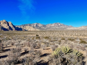 Image of a desert plain in Nevada. Find ways to destress by hiking with this list! Learn how DBT therapy in Las Vegas, NV can help!