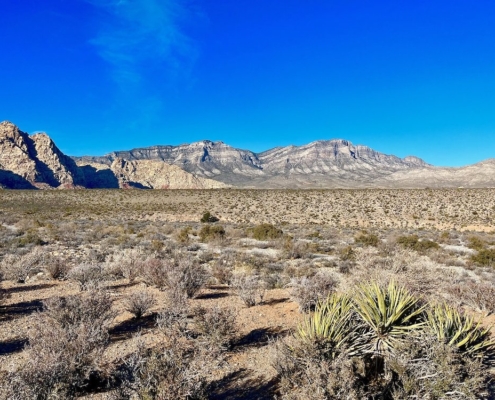 Image of a desert plain in Nevada. Find ways to destress by hiking with this list! Learn how DBT therapy in Las Vegas, NV can help!