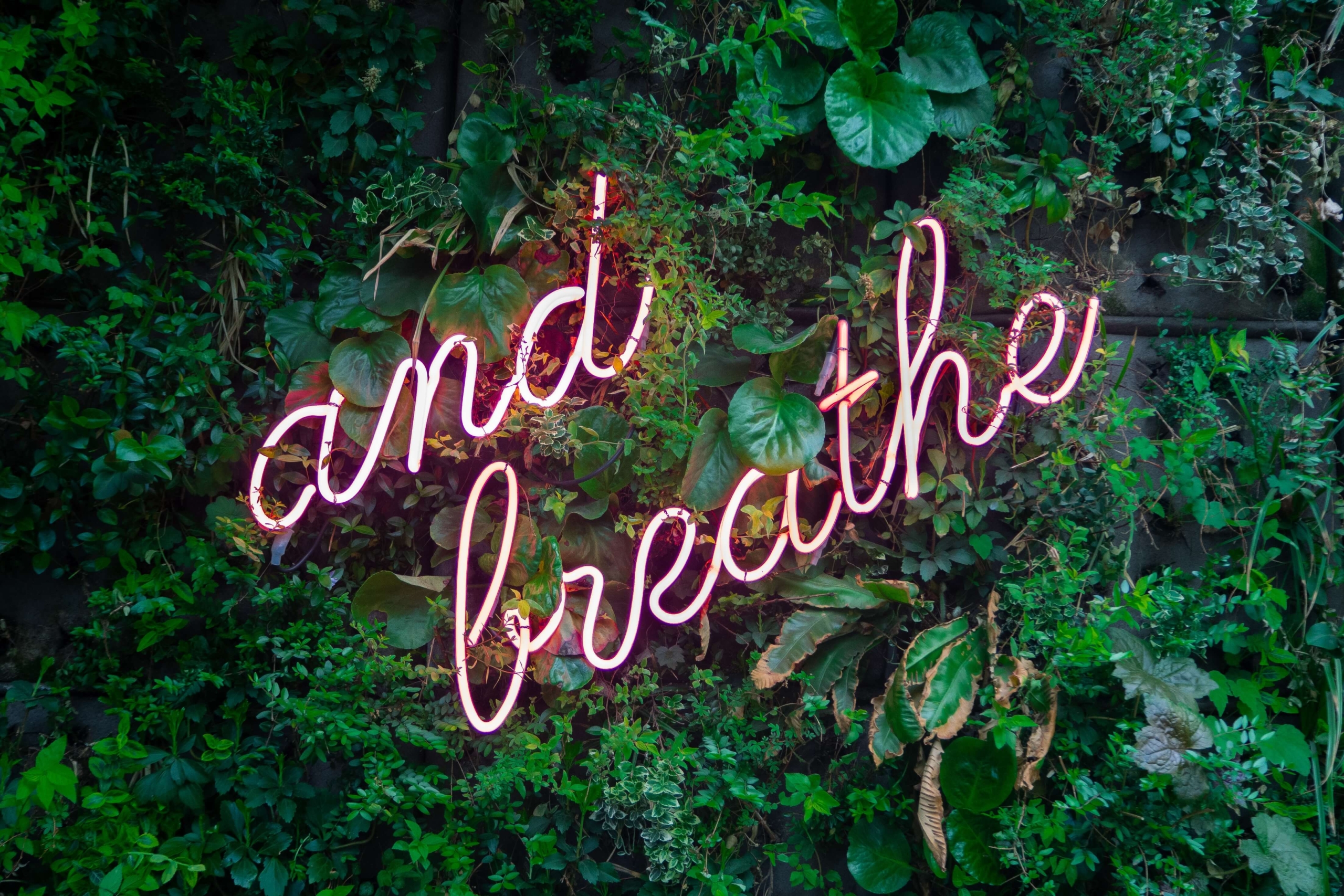 Image of a grassy wall with a neon sign that reads and breathe. Work through your anxiety symptoms and begin coping with the help of EMDR therapy in Las Vegas, NV.