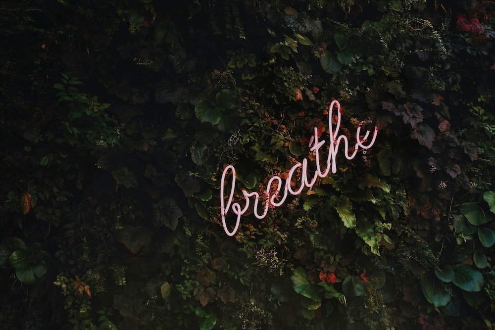 Image of a neon pink sign that reads breathe hung on a plant wall. Effectively manage your anxiety with mindfulness in Las Vegas, NV.