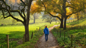 A person walks alone under golden autumn trees, symbolizing the slow, steady journey of healing from trauma.