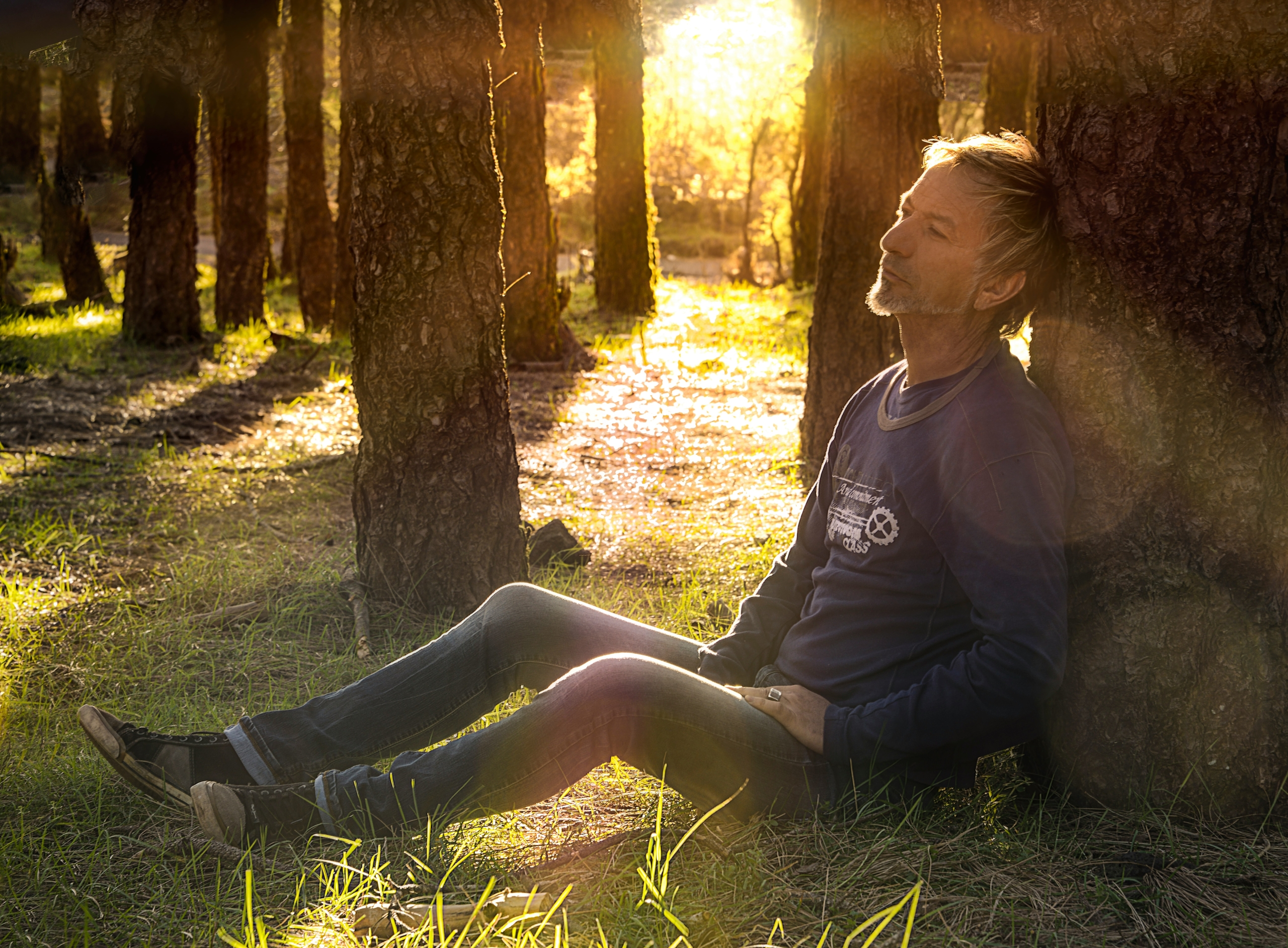 A man sitting against a tree with sunlight streaming through the forest, symbolizing hope and peace after emotional struggles.