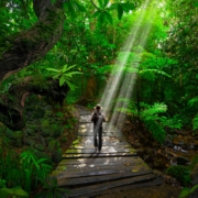Person walking on a jungle path with sunlight streaming through trees, symbolizing the healing journey of EMDR therapy and attachment repair.