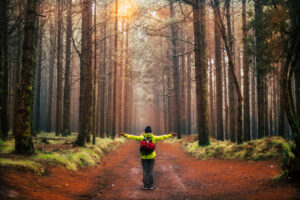 Person in forest with arms open and backpack — DBT skills series