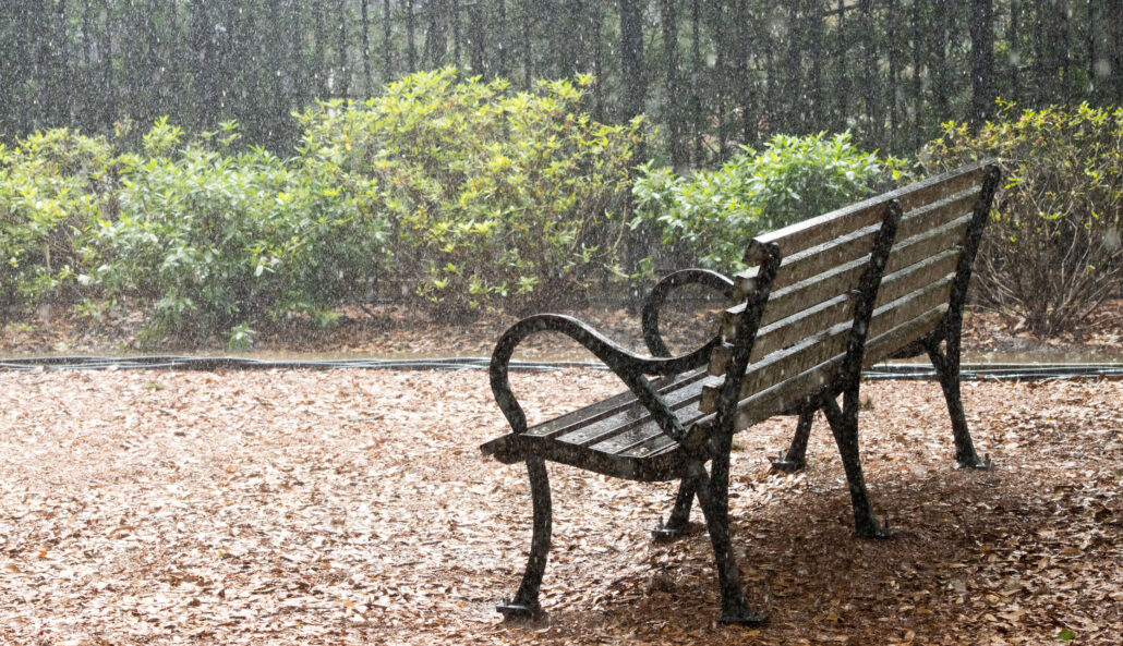 An empty park bench in the rain, surrounded by soft greenery